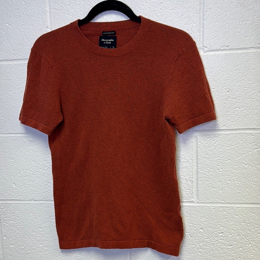 Abercrombie & Fitch Rust Short Sleeve Tee - Picture 3 of 7